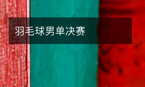 羽毛球男單決賽