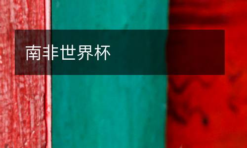 南非世界杯